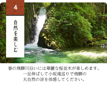 自然を楽しむ（写真・文）春の飛騨川沿いには華麗な桜並木が楽しめます。一足伸ばして小坂滝巡りで飛騨の大自然の涼を体感